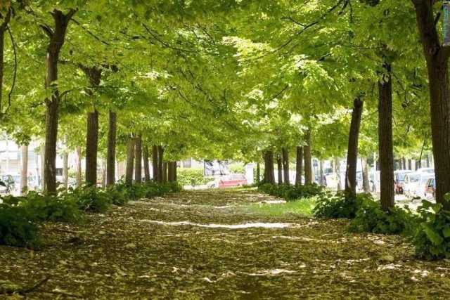 Strade strette, colori caldi, verde ovunque: � il "villaggio" di Poggiofranco bassa